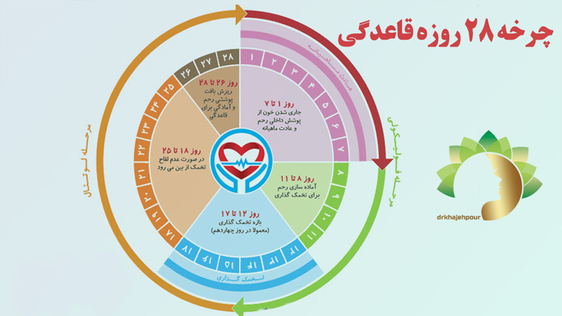 جوانسازی-پوست-در-اصفهان | دکتر-نیلوفر-خواجه-پور