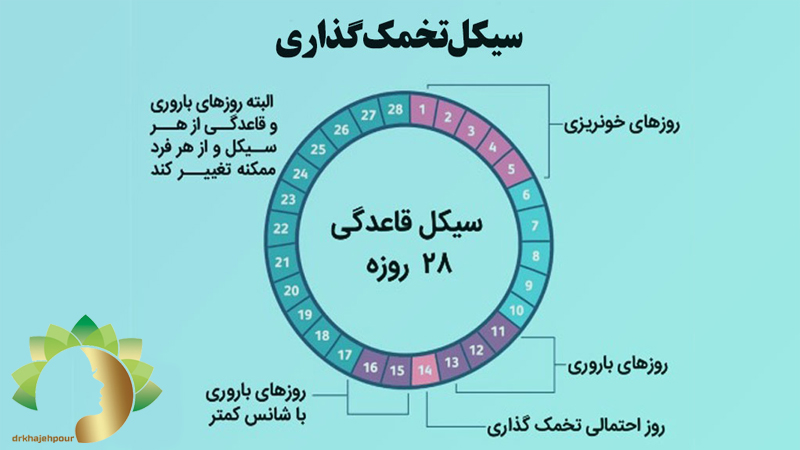 جوانسازی-پوست-در-اصفهان | دکتر-نیلوفر-خواجه-پور